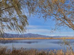 -野鸭湖国家湿地公园