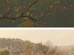 -塔川景区