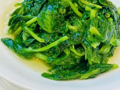 炒豆苗-瑞福园联谊餐室(茂名南路店)