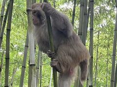 -苏州环秀晓筑养生度假村