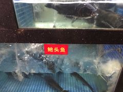 -秀水人家