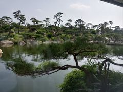 -罗红摄影艺术馆