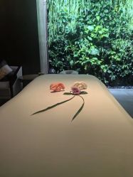 -VELEE·SPA高定疗愈会所