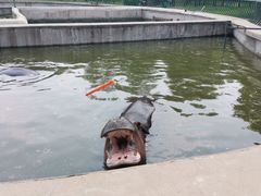 -哈尔滨北方森林动物园