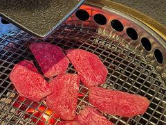 -300杯·和牛烧肉清酒专门店(廊里店)