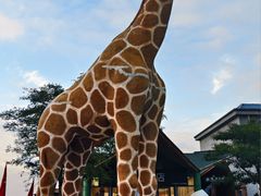 -西霞口神雕山野生动物世界