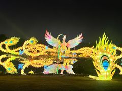 -武汉园博园(武汉自然博物馆)