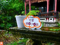 -蒋氏故居
