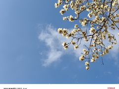 -汇龙潭