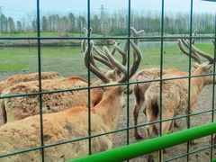 -溱湖国家湿地公园