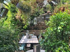 -The Grounds of Alexandria