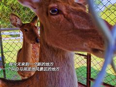 -白马涧龙池景区