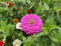 -长白岛森林公园