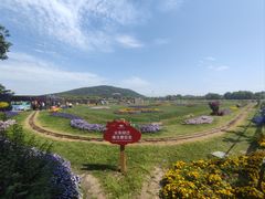 -苏州太湖西山岛开心农场