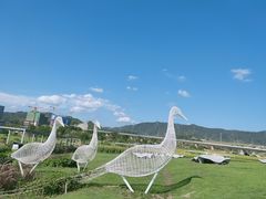 -光明小镇欢乐田园