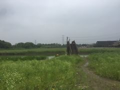 -乌村