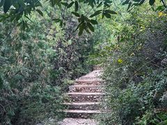 -府君山公园