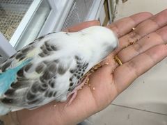 -三旗百汇商品城