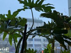 -云之南(八里庄店)