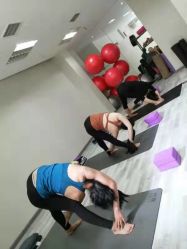 -榕树上·瑜伽普拉提