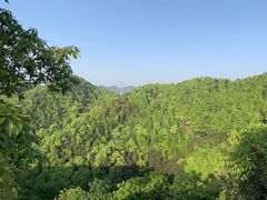 -南山植物园