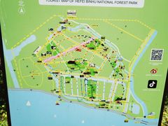 -合肥滨湖国家森林公园