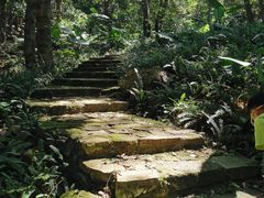 -广州市石门国家森林公园