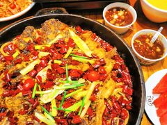 -老板恋上鱼(印象城店)