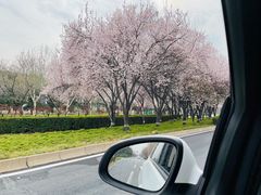 -龙门李家三旦羊肉汤馆
