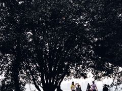 -东湖磨山景区