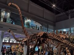 -自贡恐龙博物馆