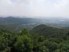 -旺山景区