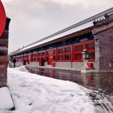 翻到了年前赶上下雪的时候去的旧宫，还是没忍住把照片发