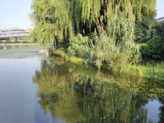 -杭州城北体育公园