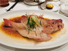 黄酒鸡油蒸东星斑-北京厨房(SKP店)