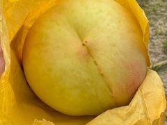 -南汇新场正宗水蜜桃采摘