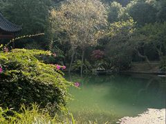 -云溪植物园