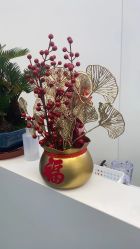 -JUVA欧华医美连锁