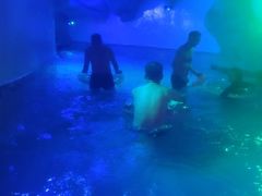 -重庆海昌加勒比海水世界