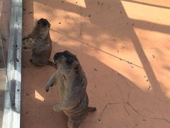 -南戴河国际娱乐中心