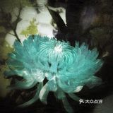 人淡如菊[懵逼]