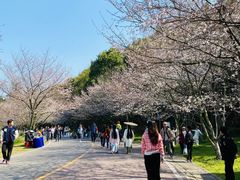 -团城山公园