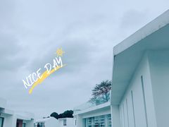 -龙坞茶村