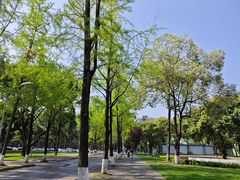 -四川大学(望江校区)
