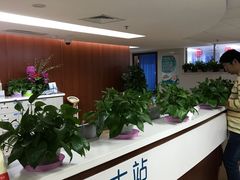 -上海市松江区中心医院