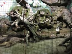 -泉城欧乐堡海洋极地世界