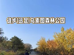 -乌素图国家森林公园