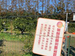 -前小桔亲子创意农场·草莓采摘·露营烧烤