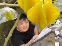 -呷哺呷哺 黄金牧场 (枣强吉美购物广场店)
