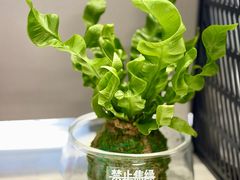 -CAPARESH開府莱舍(望京金辉店)